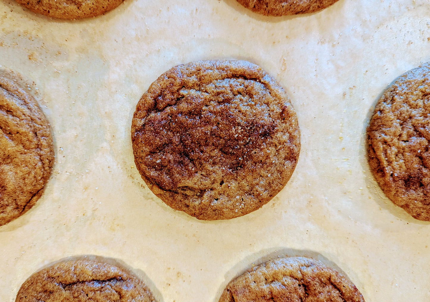 Pumpkin Snickerdoodle - 1 dozen